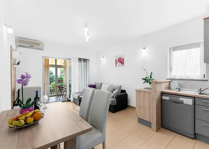 Apartment Beakovic Radosi A4