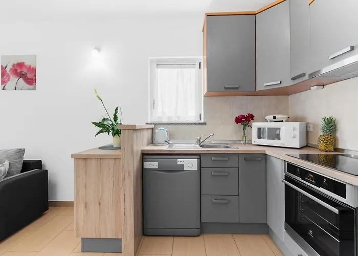 Apartment Beakovic Radosi A4 Poreč